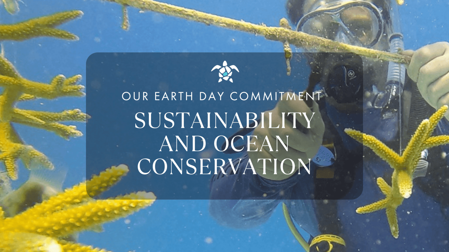 AquaBlu Mosaics: Our Earth Day Commitment to Sustainability and Ocean Conservation