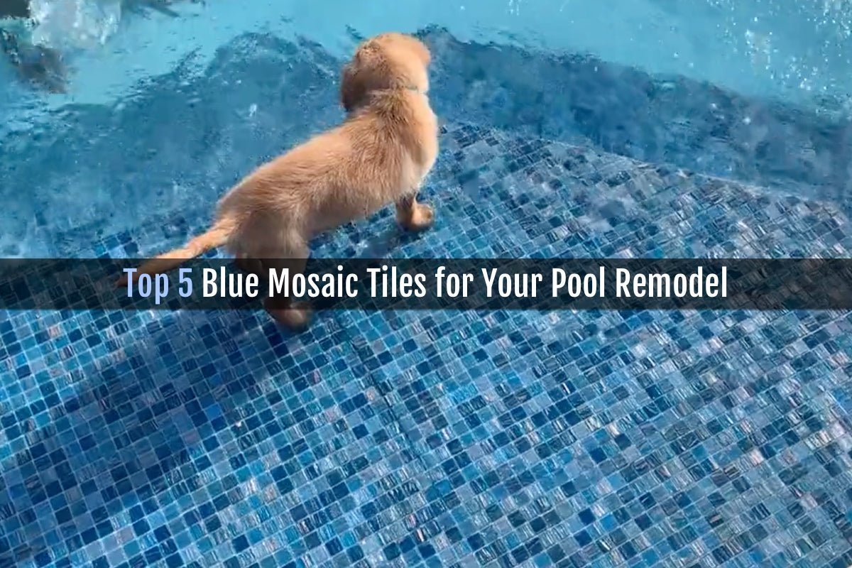 Top 5 Blue Mosaic Tiles for Your Pool Remodel