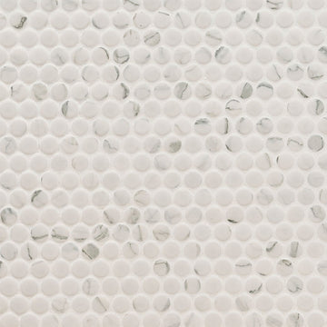 Domino Matte Carrara, Penny Round Mosaic | Porcelain Tile by MSI