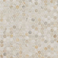 Athena Gold Penny Round - Stone Tile
