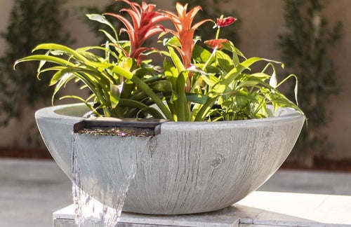 Decorative planter with plants on a wooden surface