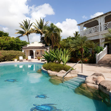 Blue Sea Turtle w/Shadow | PORC-BL83-24/SH | Swimming Pool Mosaic