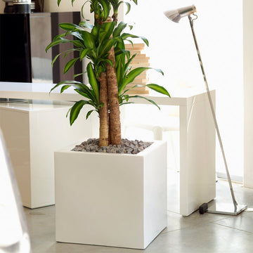 Cubo Planters by Vondom | Modern Patio and Lawn Accessory