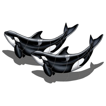Orca Double with Shadow Pool Mosaic