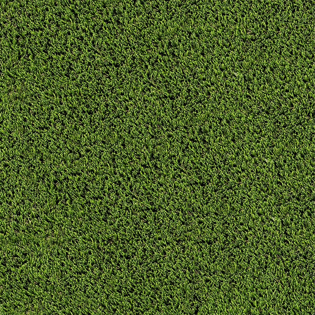 ENABLE QUEEN OF THE TURF エネイブル Evergrass Emerald Green Turf 110, 15 Ft Wide | Artificial Grass