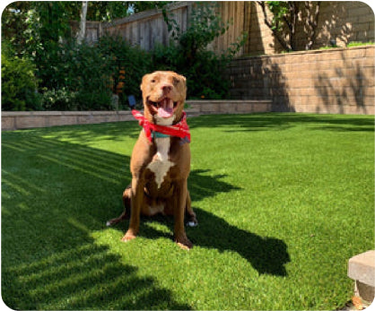 artificial grass