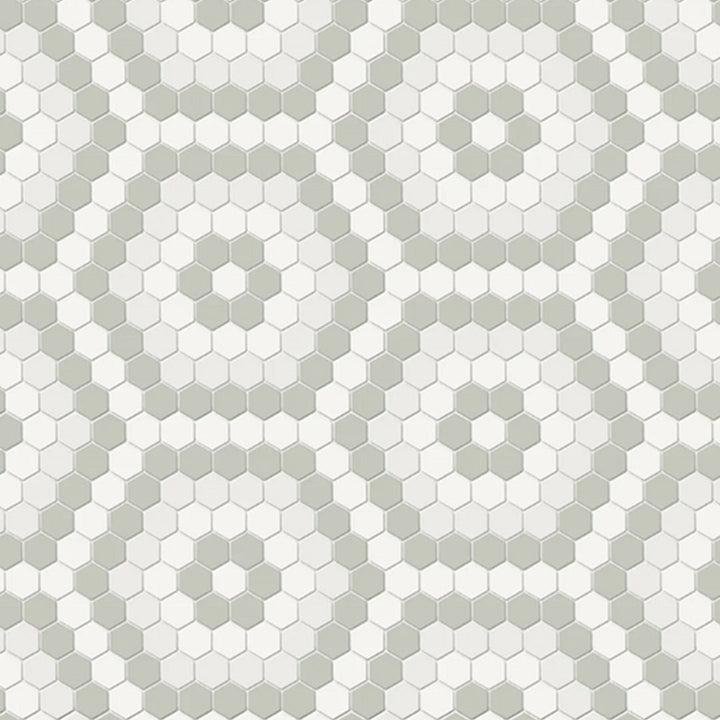 Soho Morning Blend, Hexagon | Ceramic Backsplash & Floor Tile