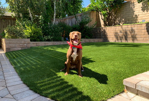 Artificial Turf