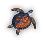 turtle pool mosaic