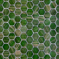 236H Jungle Canopy, Hexagon Mosaic - Glass Tile