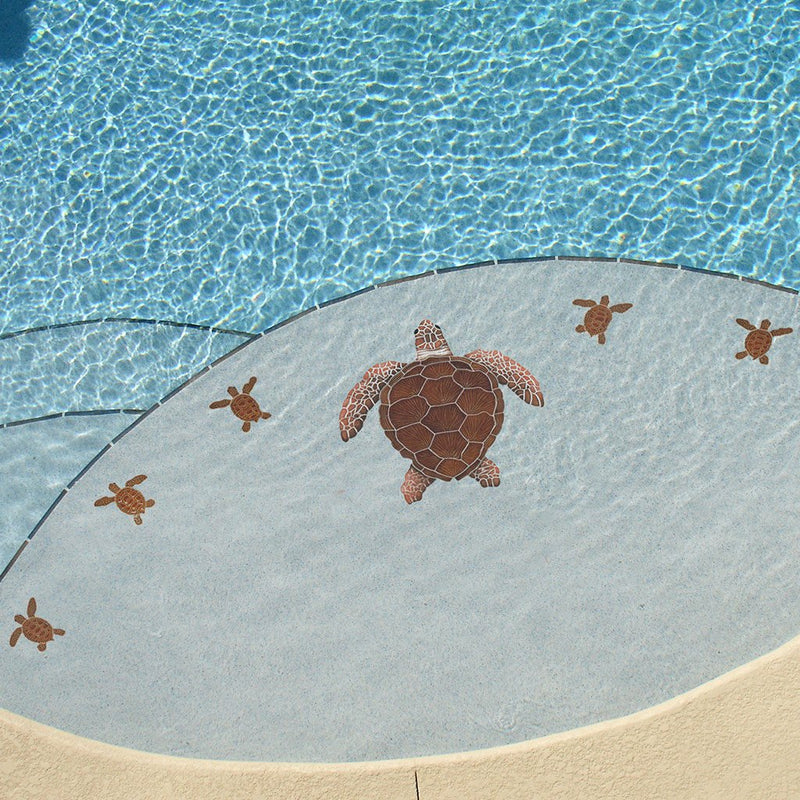 Loggerhead Turtle C Mini - 4" Brown - Pool Mosaic