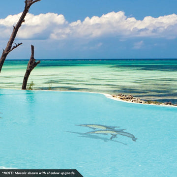 Common Dolphin - A Double | PORC-CD50D-42 | Pool Mosaic by Custom Mosaics