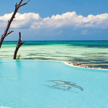 Common Dolphin - A Double w/Shadow | PORC-CD50D-42/SH | Pool Mosaic by Custom Mosaics