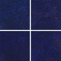 Cobalt, 6" x 6" - Porcelain Pool Tile