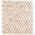 Coral 1 Barrels, 6/8" - Glass Penny Round Mosaic