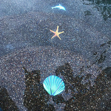 Fusion Seashell - Caribbean | MSSHCARB | Pool Mosaic