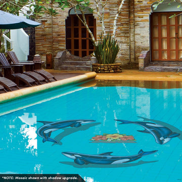 Orca - B, Porc | PORC-OR53-36 | Pool Mosaic by AquaBlu Mosaics