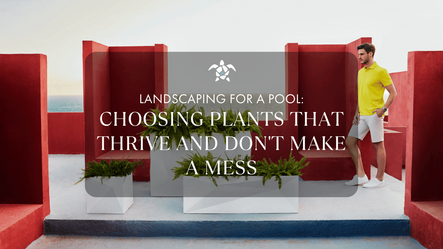 Landscaping for a Pool: Choosing Plants That Thrive and Don't Make a Mess