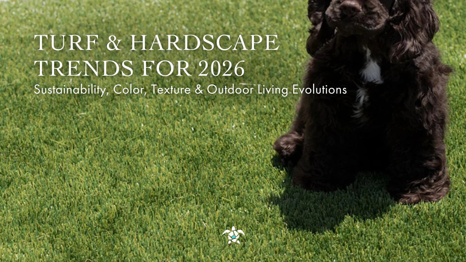 Turf & Hardscape Trends for 2026: Sustainability, Color, Texture & Outdoor Living
