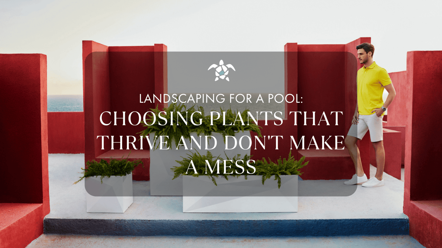 wall planter, poolside landscaping, landscaping for pool, patio furniture, glass tile, artificial grass