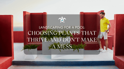 Landscaping for a Pool: Choosing Plants That Thrive and Don't Make a Mess