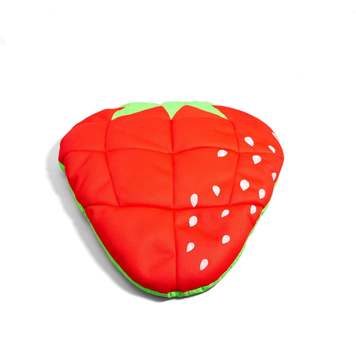 Fruit Float - Pool Float
