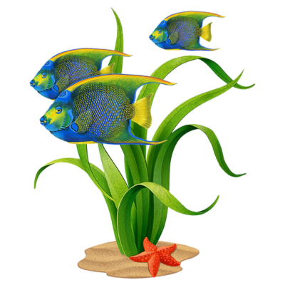 FISH