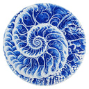 Nautilus - Pool Mosaic