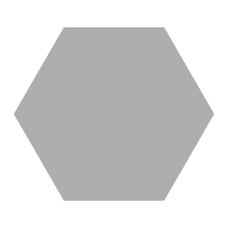 Basic Silver, Hexagon Porcelain Tile | Floor & Wall Tile by IWT Tesoro