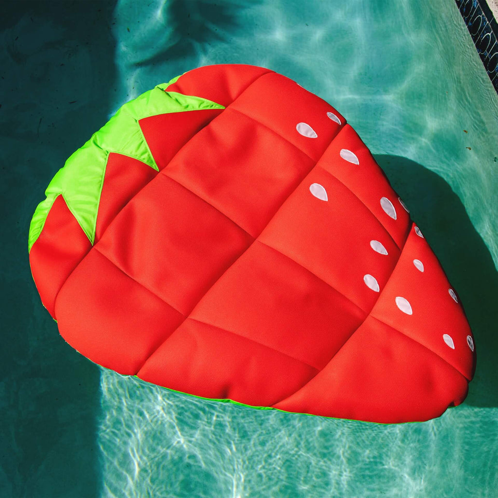 Swimming Pool Float by Big Joe