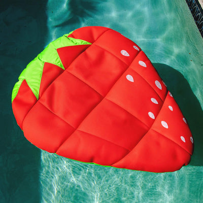 Swimming Pool Float by Big Joe