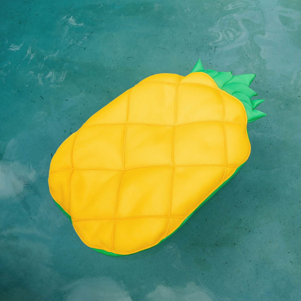Swimming Pool Float by Big Joe