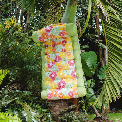 Swimming Pool Hammock float by Big Joe