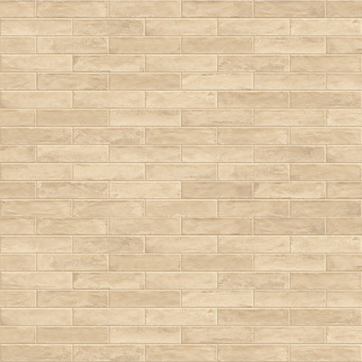 Coastline Desert, 3" x 12" Porcelain Tile | Pool Waterline Tile