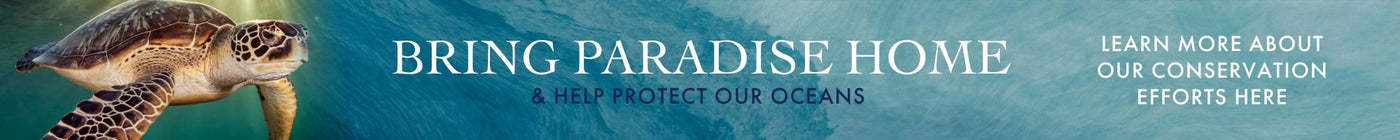 Help Save Our Oceans - Learn about our conservation efforts
