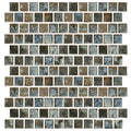 Cotto, 1" x 1" - Porcelain Pool Tile