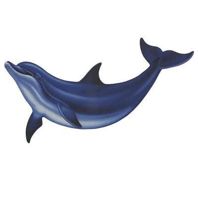 DOLPHINS