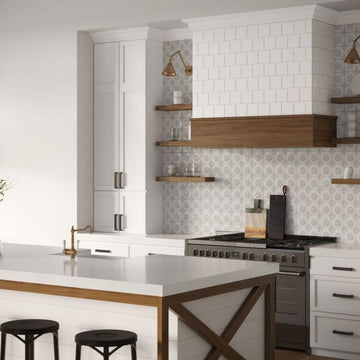 Dali Habitat, 5" x 5" Ceramic Tile | Anthology Kitchen Backsplash Tile