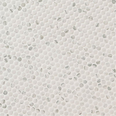 Domino Matte Carrara, Penny Round Mosaic | Porcelain Tile by MSI 