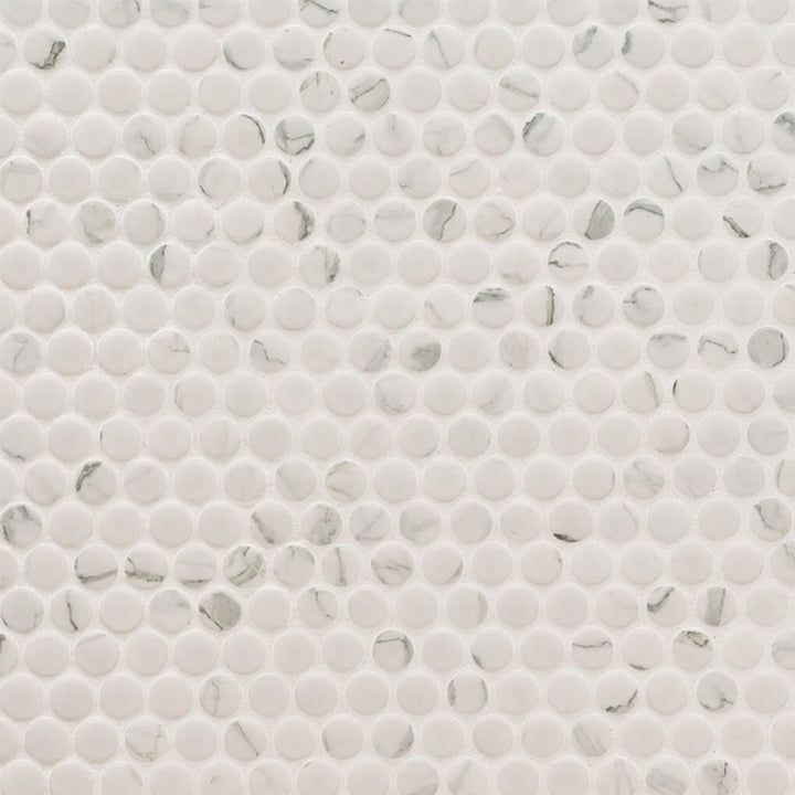Domino Matte Carrara, Penny Round Mosaic | Porcelain Tile by MSI 