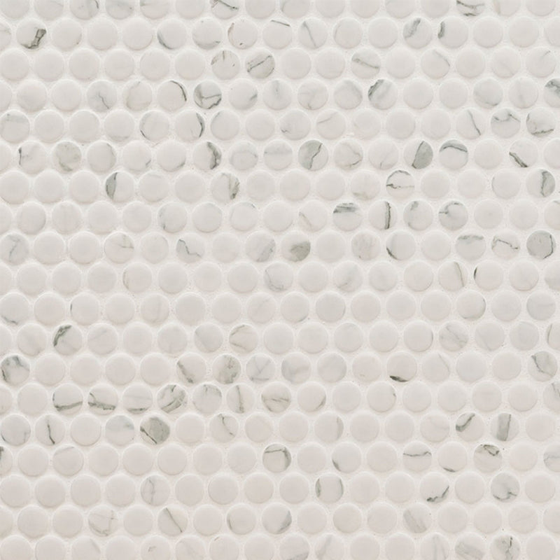 Domino Matte Carrara, Penny Round Mosaic | Porcelain Tile by MSI 