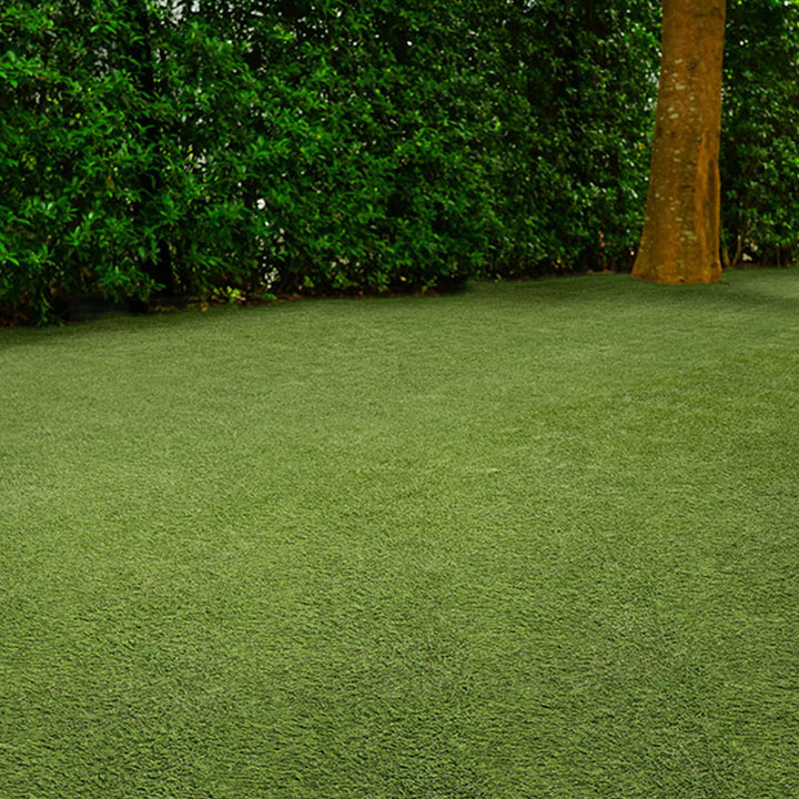 Evergrass Emerald Green Turf 110, 15 Ft Wide | Artificial Grass