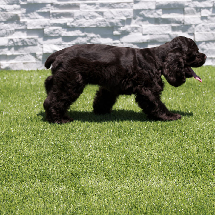 Evergrass Emerald Green Turf 110, 15 Ft Wide | Artificial Grass