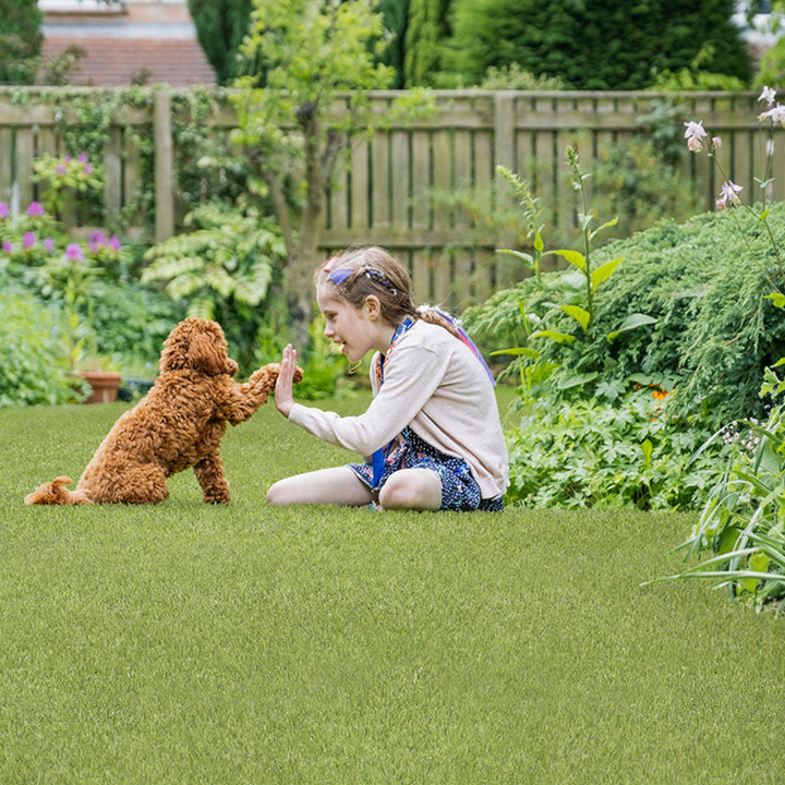 Evergrass Emerald Green Turf 110, 15 Ft Wide | Artificial Grass