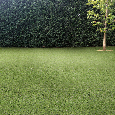 Evergrass Emerald Green Turf 76, 15 Ft Wide - Premium Artificial Grass