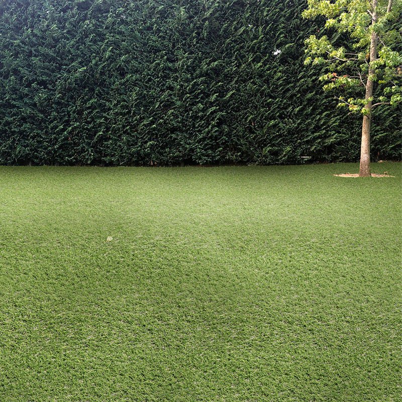 Evergrass Emerald Green Turf 76, 15 Ft Wide - Premium Artificial Grass