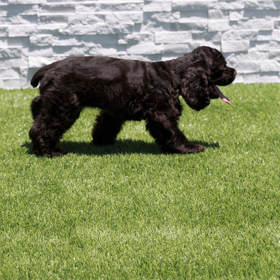 Evergrass Emerald Green Turf 76, 15 Ft Wide - Premium Artificial Grass