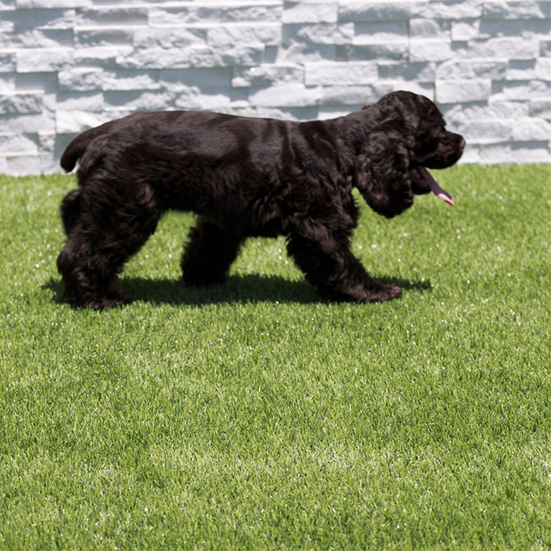 Evergrass Emerald Green Turf 76, 15 Ft Wide - Premium Artificial Grass