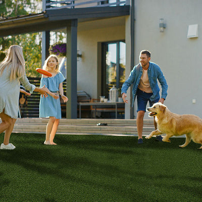 Evergrass Meadow Green Pet Turf 91, 15 Ft Wide | Artificial Grass
