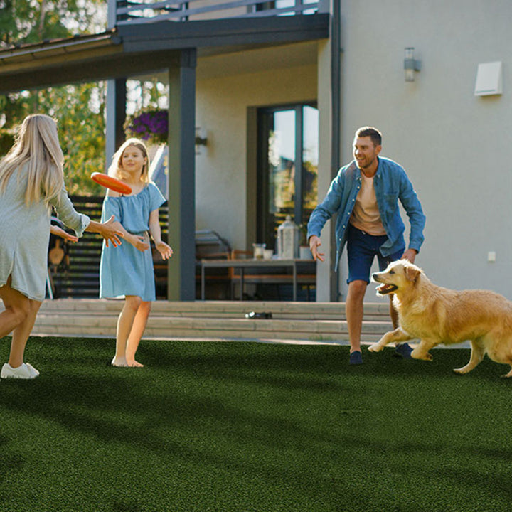 Evergrass Meadow Green Pet Turf 91, 15 Ft Wide | Artificial Grass